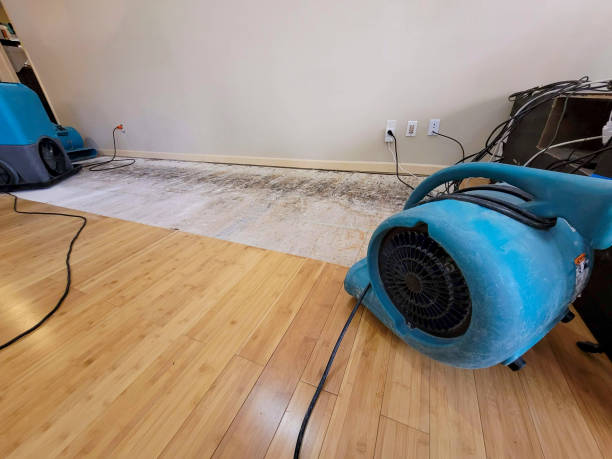 Professional Emergency Water Damage technician working in Sterling, OH